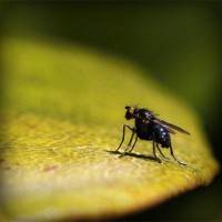 /album/jinancase/photolia-a07-jpg/